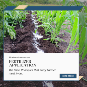 Fertilizer-Application-secret