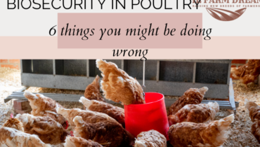 Biosecurity in poultry